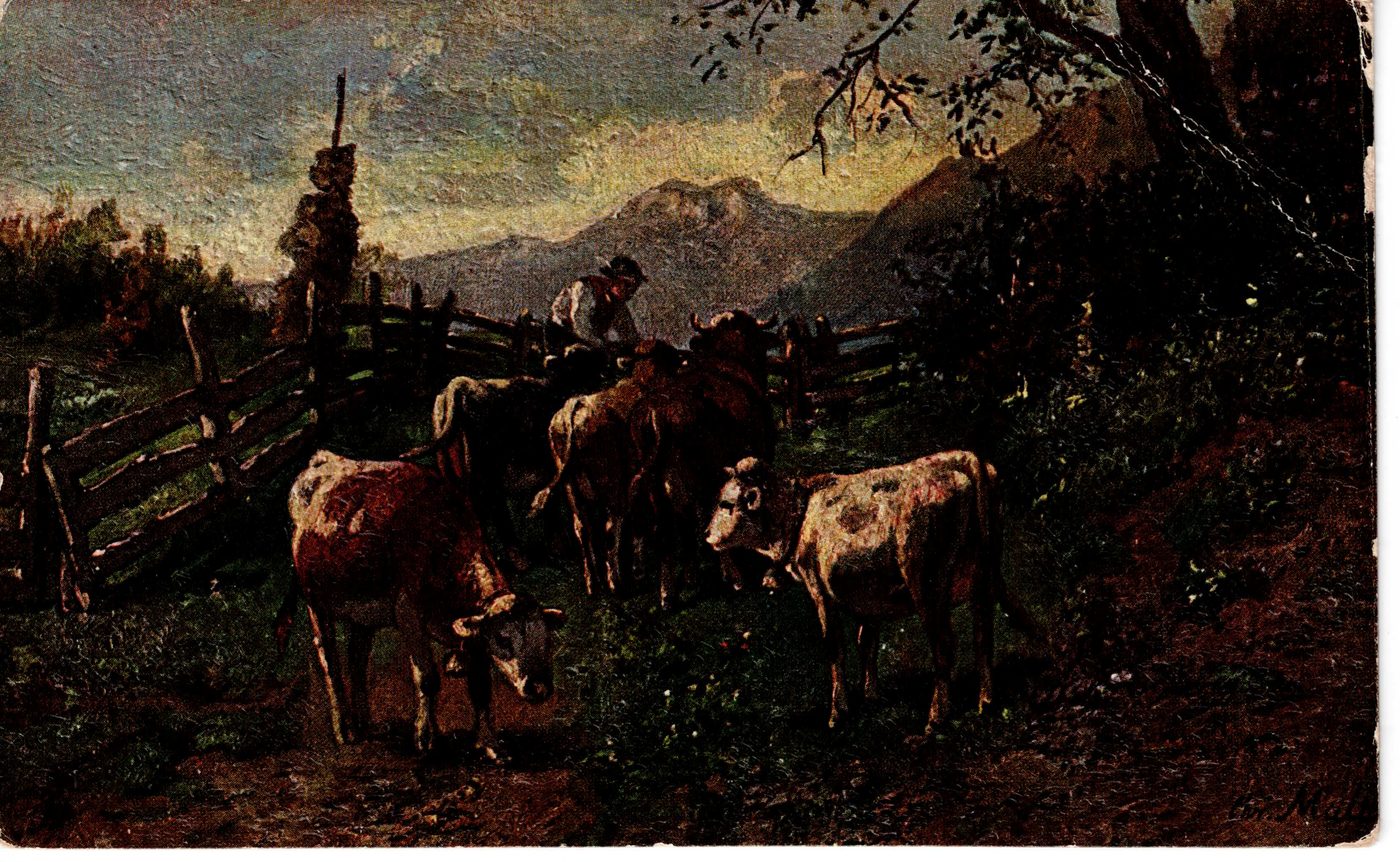 Heimkehr