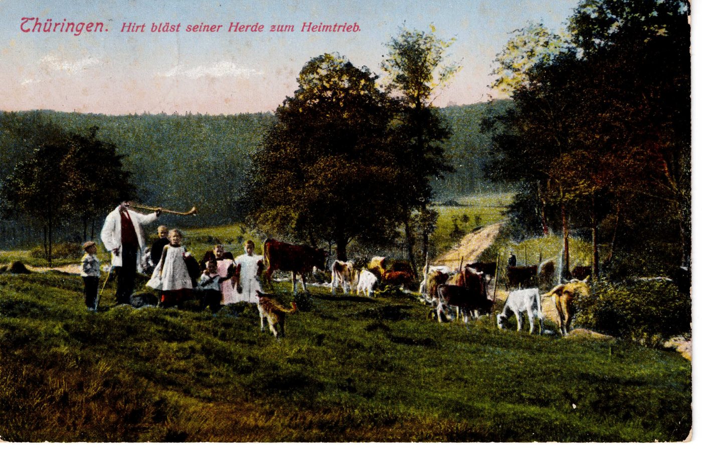 Thüringen. Hirt bläst seiner Herde zum Heimtrieb.