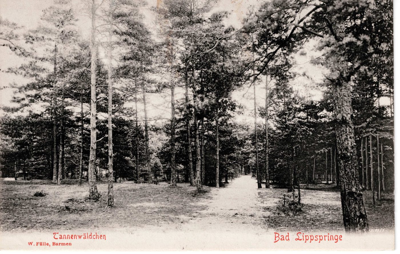 Tannenwäldchen - Bad Lippspringe