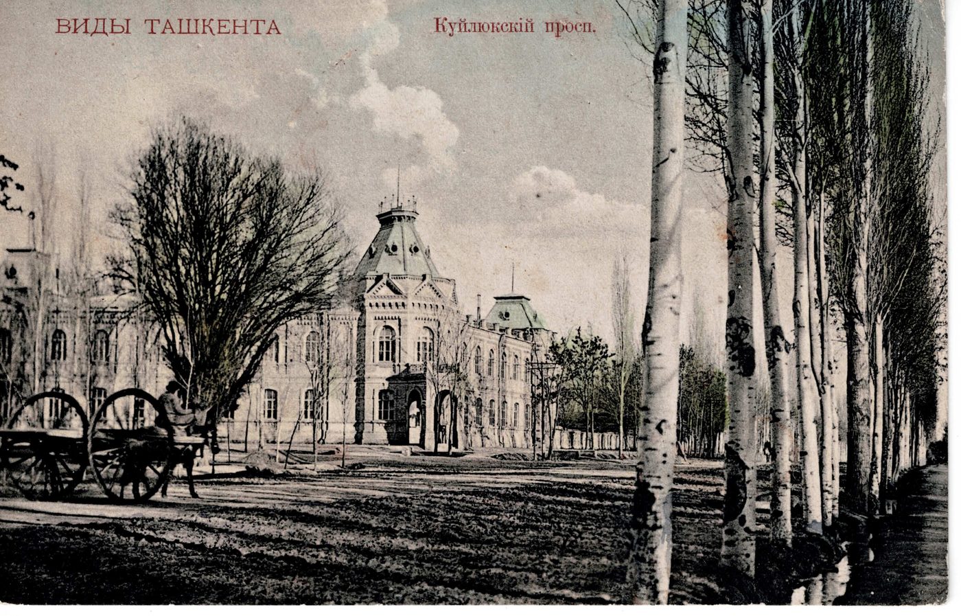 ВИДЫ ТАШКЕНТА. Куйлюкскiй просп.