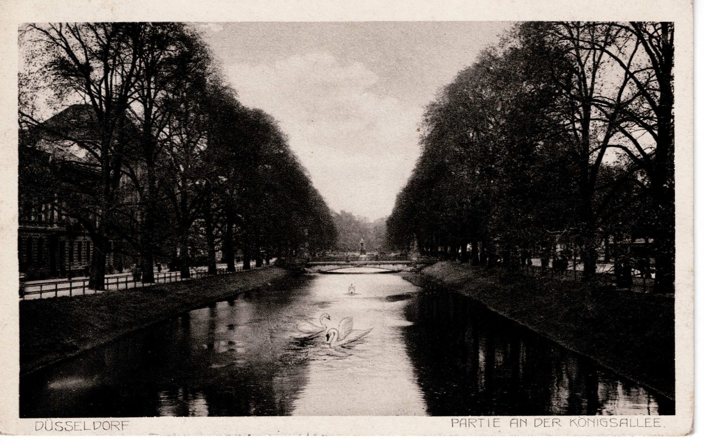 PARTIE AN DER KÖNIGSALLEE.