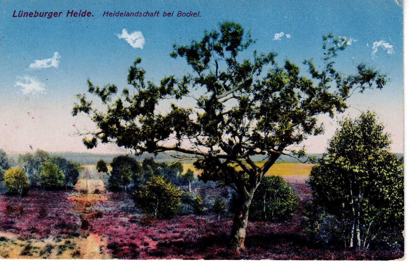 Lüneburger Heide — Heidelandschaft bei Bockel