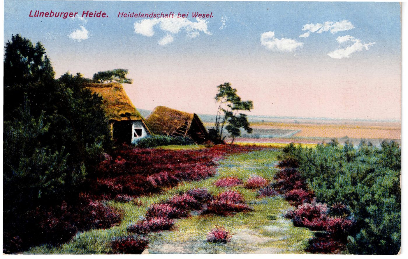 Lüneburger Heide — Heidelandschaft bei Wesel