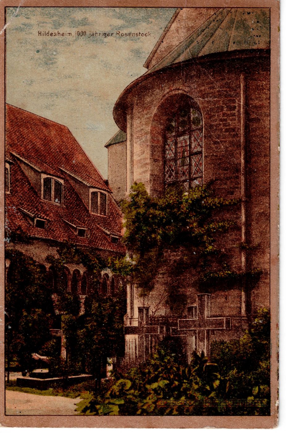 Hildesheim — 1000jähriger Rosenstock