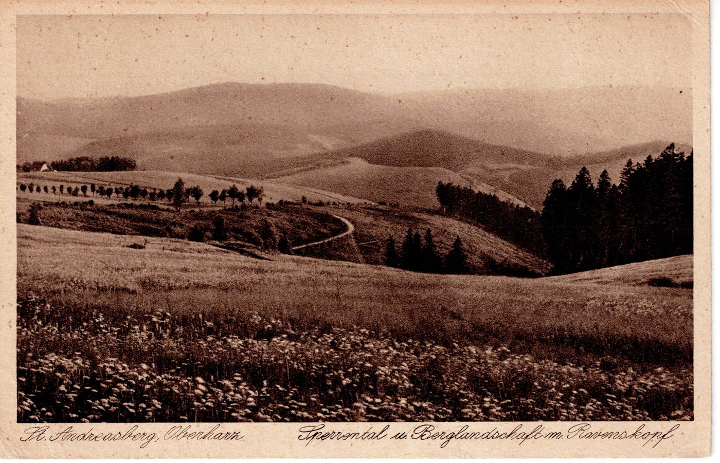 St. Andreasberg, Oberharz - Berglandschaft