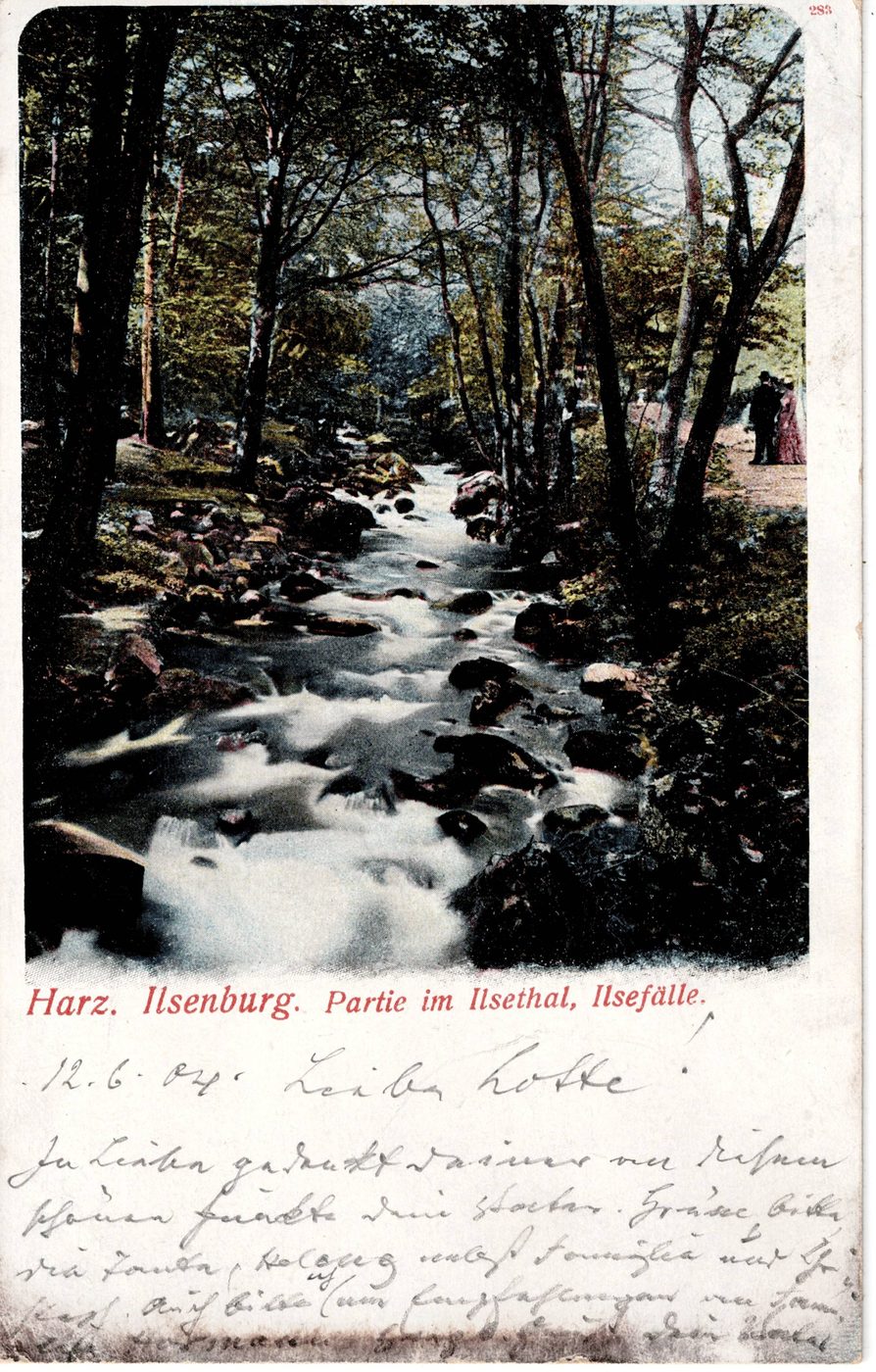Harz, Ilsenburg. Partie im Ilsethal, Ilsefaelle.