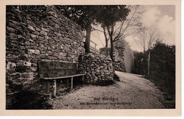 Bad Harzburg. Alte Burgmauern auf dem Burgberge