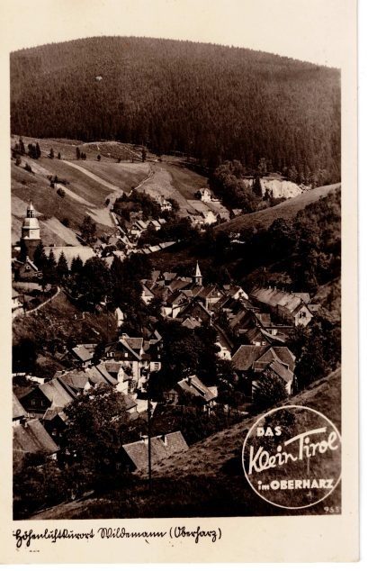 Höhenluftkurort Wildemann (Oberharz) — "Das Klein Tirol im Oberharz"