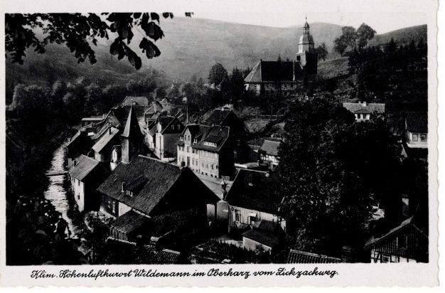 Klim. Höhenluftkurort Wildemann im Oberharz vom Zickzackweg