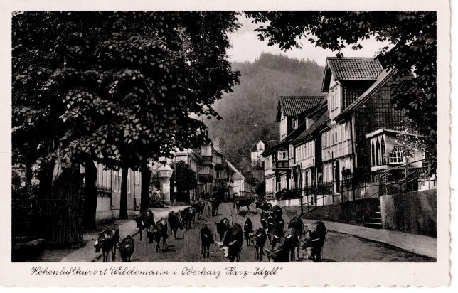Höhenluftkurort Wildemann i. Oberharz "Harz-Idyll"