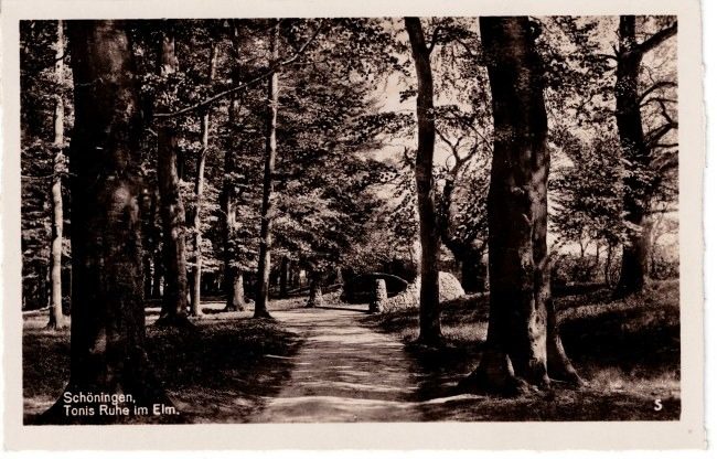 Schöningen, Tonis Ruhe im Elm
