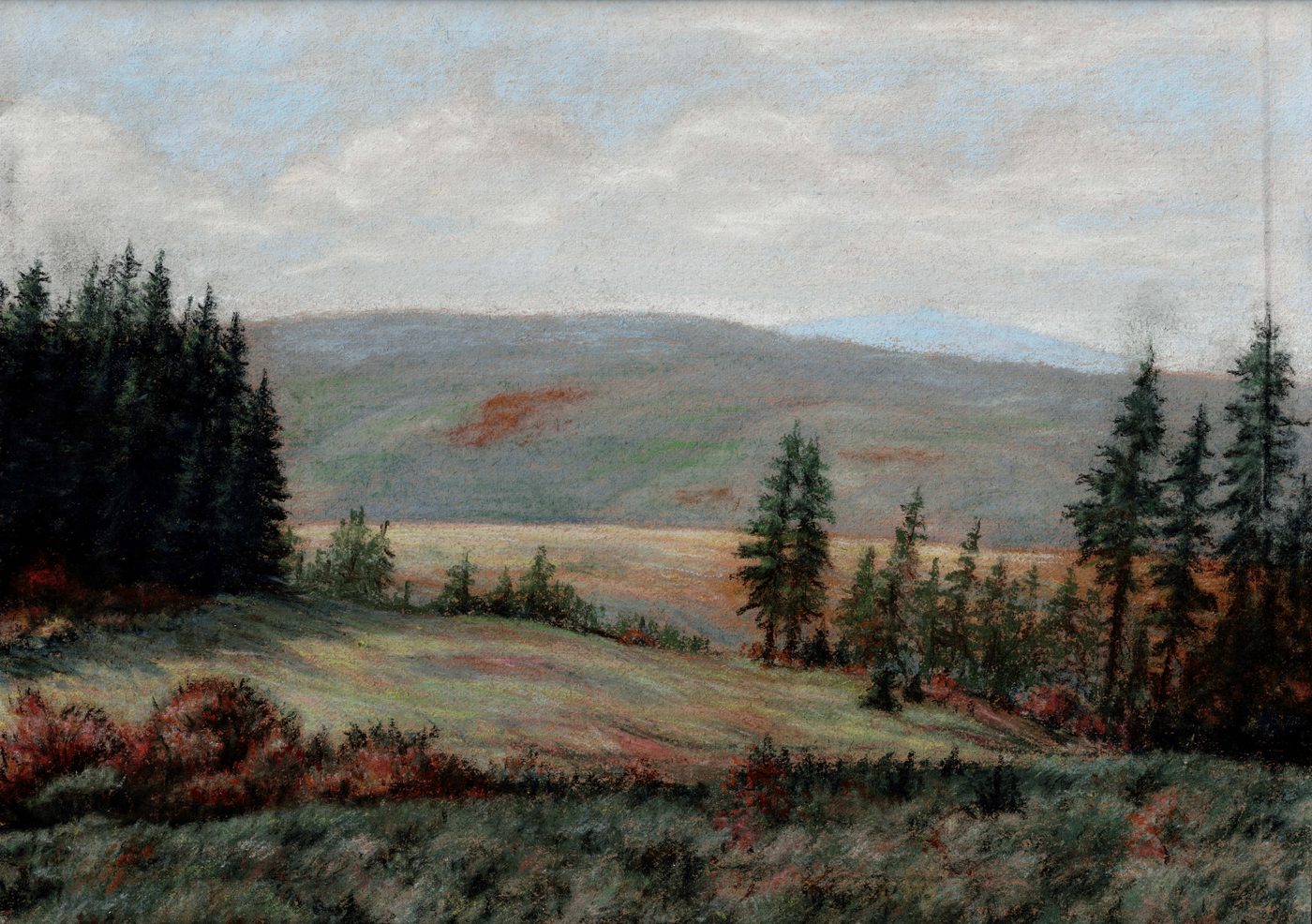 Mittelgebirgs-Panorama mit Fichten [Pastell, unsigniert]